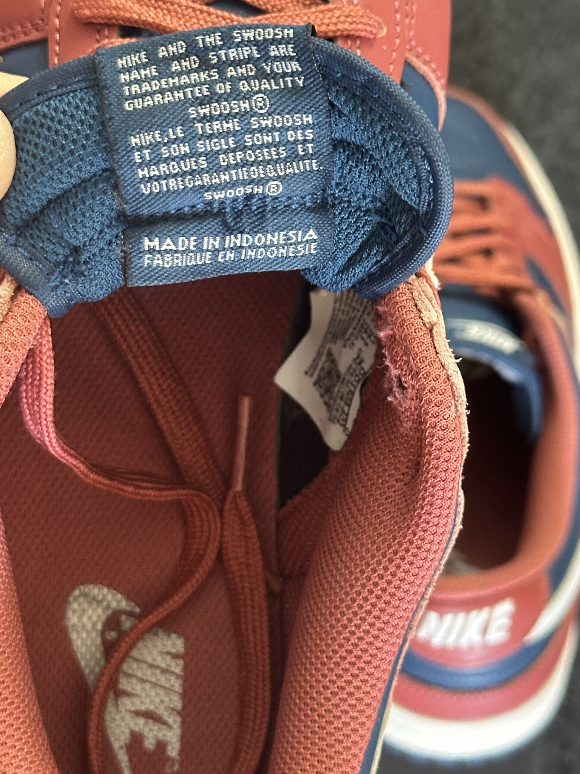 Nike Dunk Low Retro Canyon Rust DD1503-602 taglia EU 41 vista logo2